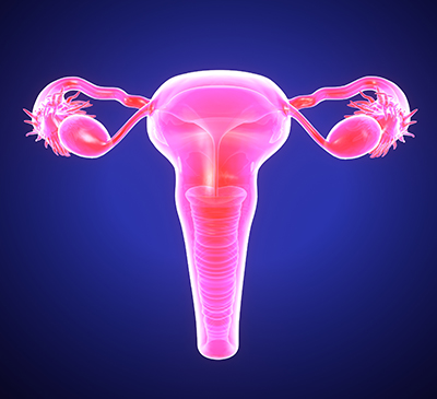 Cervical Dysplasia - A Pipeline Analysis Report
